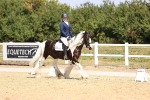 SBM_003740