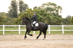 SBM_000431