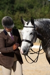 Class 8: Small Ridden Hunter portfolio