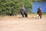 WJ6_7876