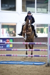 Race 2 - 1.10m portfolio