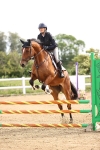 Class 15 - Clear Round portfolio