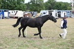 WJ6_5980