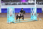 SBM_000381