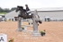 BPP_0391