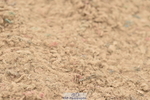 230611A-122732-05492