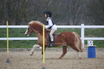 SBM_003931