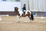 SBM_006764