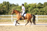 SBM_007785