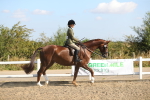 SBM_02203