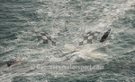Worlds Powerboats_2014_Race-1-106