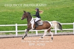 BPP_4090