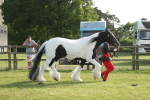 SBM_10573