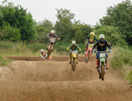 SMX 8481