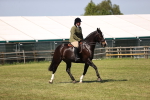 SBM_17922
