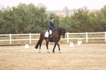 SBM_000930