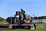 WJ5_7934