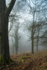 A Winters Morn