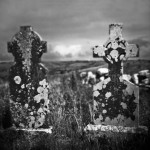 Dual Crosses