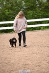 Dog Show, Saturday 18th = Click to View Photos portfolio