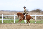 SBM_006797