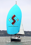 130428 BIRDSONG SWIFT-SOUTHERN WT7A7312