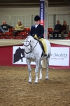 Class M - Equitation Champ portfolio