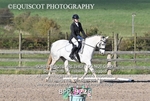 BPP_9226