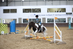 Class 2 - Area 12 Championship Qualifier - 40cm portfolio