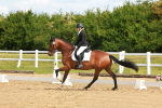SBM_007732