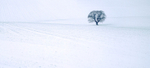 The Four Seasons - Winter. EDC058