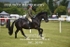 JAC_3678