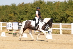 SBM_018283