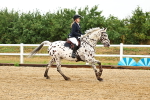 SBM_000403