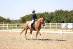 SBM_006571