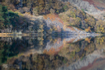 Llyn Gwynant reflections