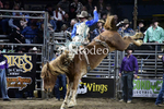 Tucker Curracato_DSC2288