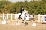 SBM_018534