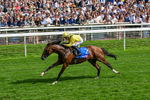 220826-Race 2-Infraad-0313