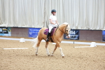 SBM_008327