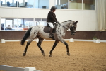 SBM_001917