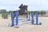 BPP_4252