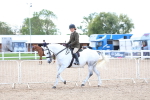 SBM_17160