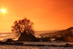 Sun Set At the Castle