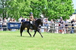 SBM_15280