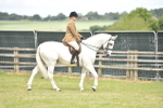 SBM_15879