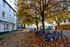 Bikes in Totnes in autumn