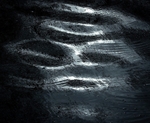 River Alien_RLP0048
