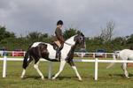 Skewbald and Piebald Ridden Championship portfolio