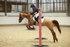 AJG_3853